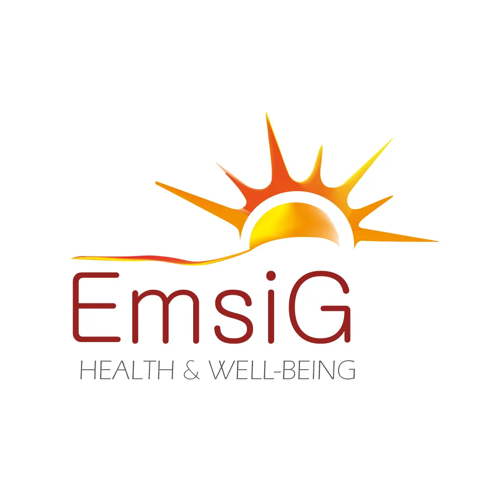 امسیگ - Emsig