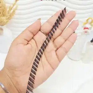 مژه مصنوعی کاشت فیشر ریسه‌ای (سایز ۱۶ فشن) (بالاترین کیفیت مژه کاشت)