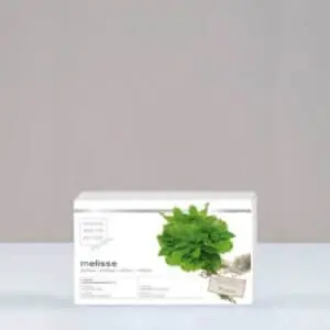 کپسول بادرنجبویه ملیسا (جعبه با 60 کپسول)  ام بی کی